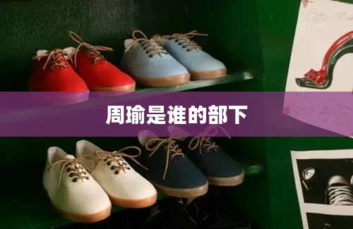 周瑜是谁的部下