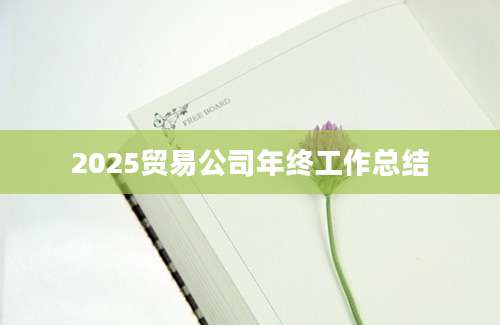 2025贸易公司年终工作总结