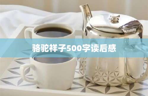 骆驼祥子500字读后感