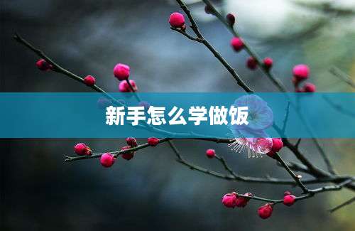 新手怎么学做饭