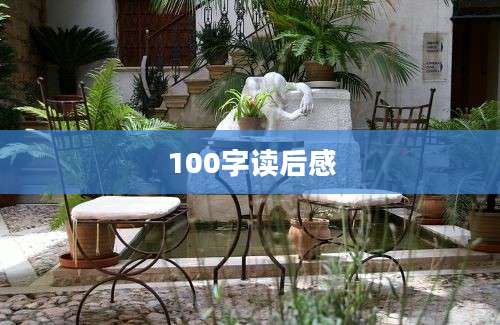 100字读后感
