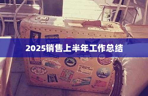 2025销售上半年工作总结