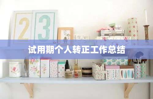 试用期个人转正工作总结