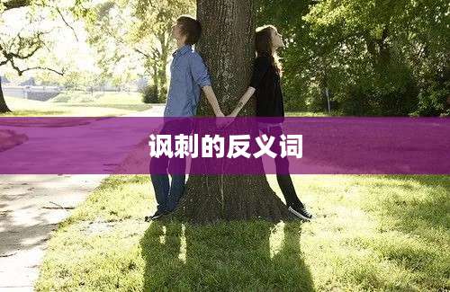 讽刺的反义词