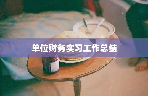 单位财务实习工作总结
