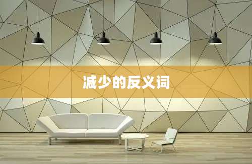 减少的反义词