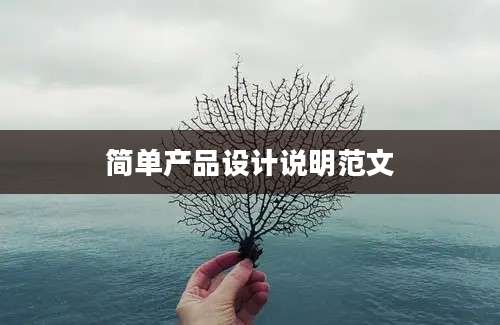 简单产品设计说明范文