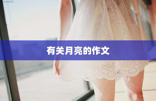 有关月亮的作文