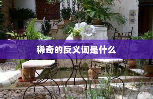 稀奇的反义词是什么