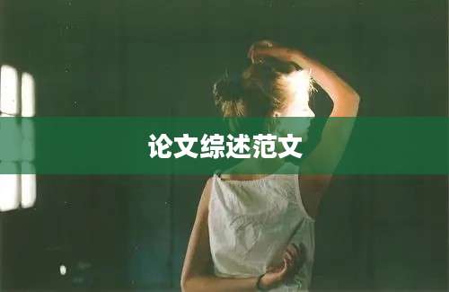 论文综述范文