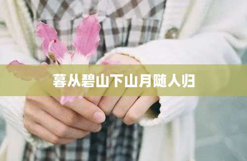 暮从碧山下山月随人归
