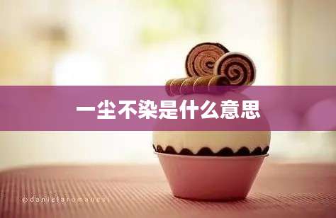 一尘不染是什么意思