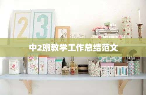 中2班教学工作总结范文