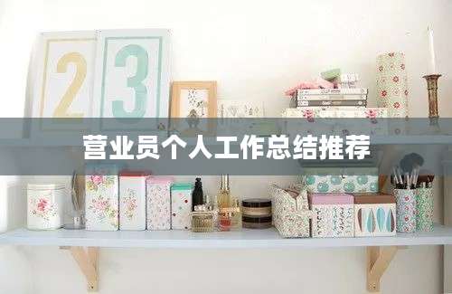 营业员个人工作总结推荐