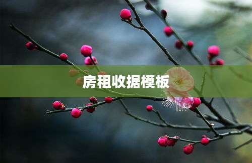 房租收据模板