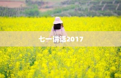 七一讲话2017