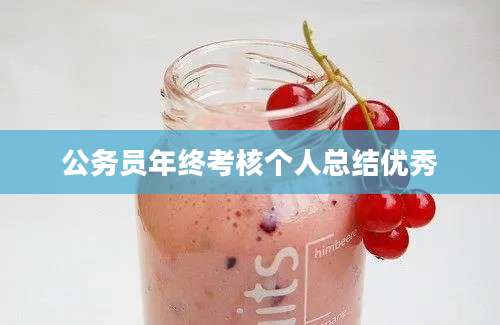 公务员年终考核个人总结优秀