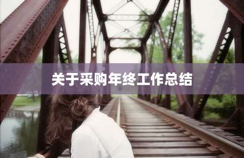 关于采购年终工作总结