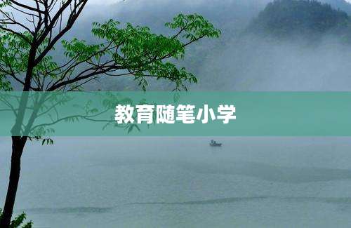 教育随笔小学