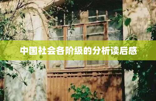 中国社会各阶级的分析读后感