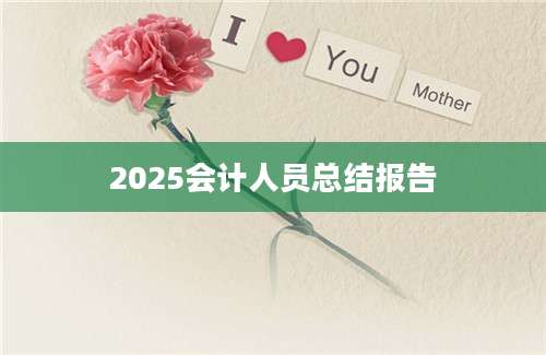 2025会计人员总结报告