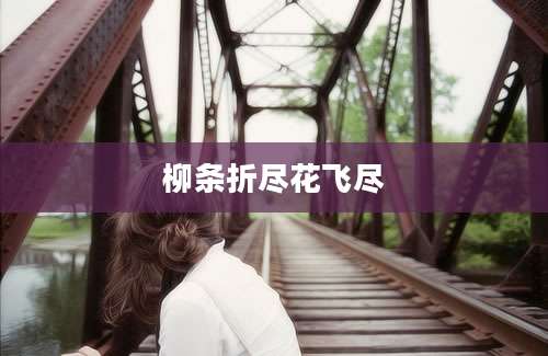柳条折尽花飞尽