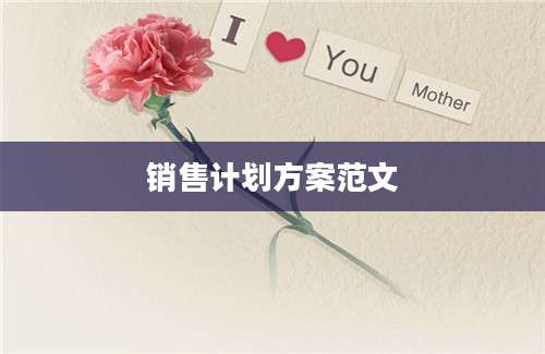 销售计划方案范文