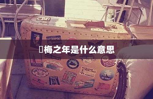 摽梅之年是什么意思