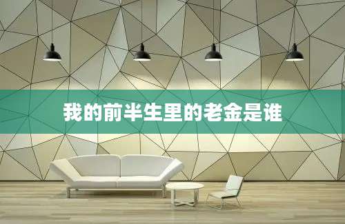 我的前半生里的老金是谁