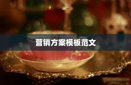 营销方案模板范文