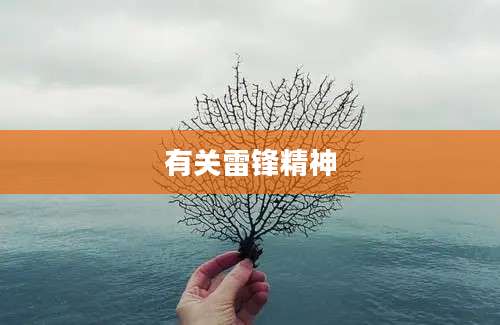 有关雷锋精神