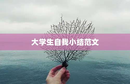 大学生自我小结范文