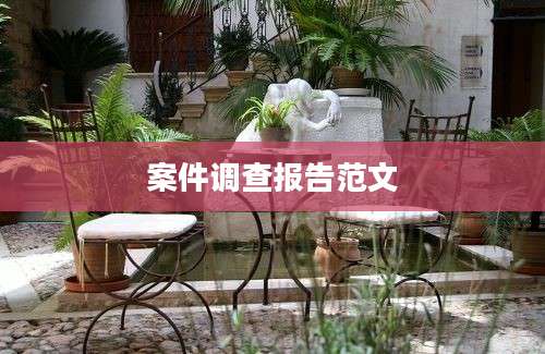 案件调查报告范文