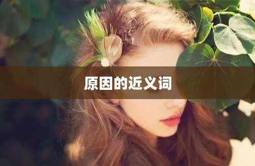 原因的近义词