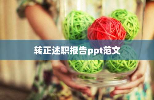 转正述职报告ppt范文