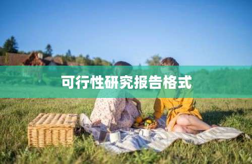 可行性研究报告格式