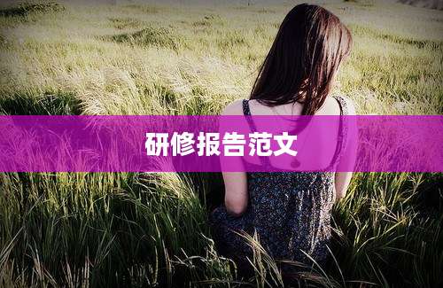研修报告范文