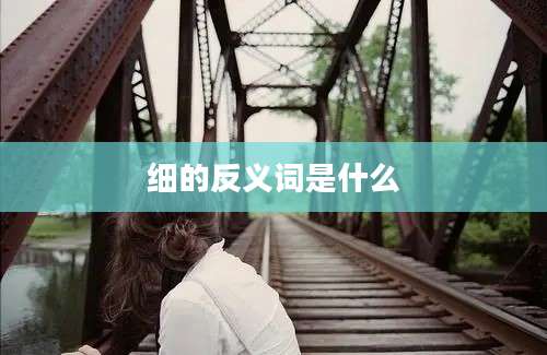 细的反义词是什么