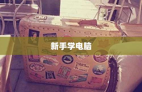 新手学电脑