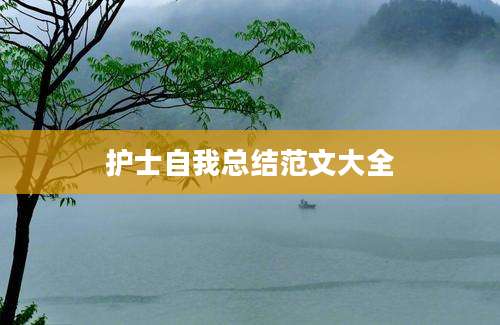 护士自我总结范文大全