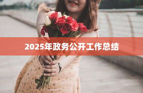 2025年政务公开工作总结