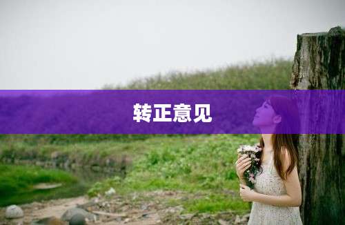 转正意见