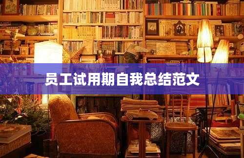员工试用期自我总结范文