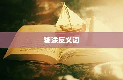 糊涂反义词