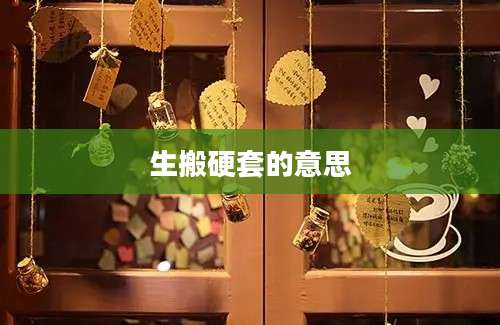 生搬硬套的意思
