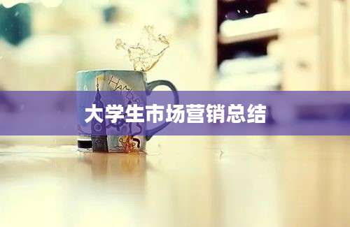 大学生市场营销总结