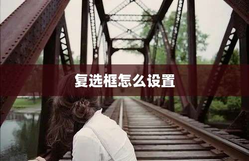 复选框怎么设置