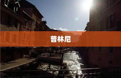 普林尼
