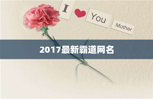 2017最新霸道网名