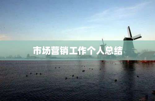 市场营销工作个人总结